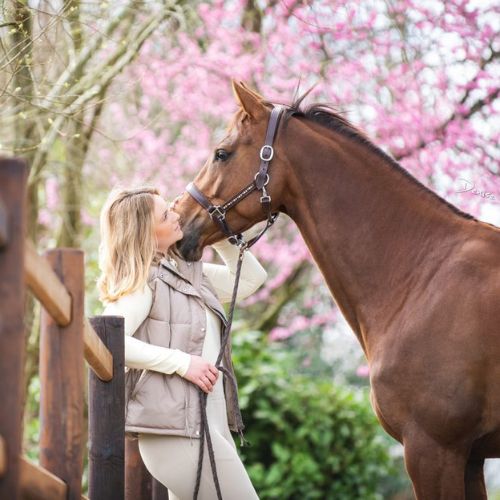 Brown Horse Padded Vest