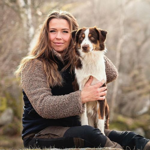 Brown Teddy Jacket Dog